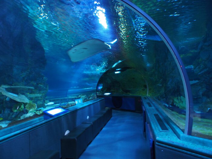 トンネル式水族館